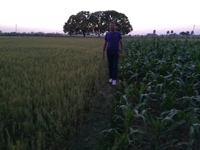 BAKES4HMQ81N_Gupta_Fast_Food_ChIJATDJJEUl8jkR0SvmZ9AZ5DU_4