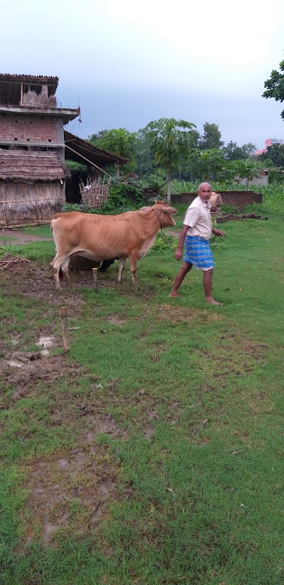 CARP625BGYMC_Kanchan_Sharma_carpenter_ChIJzy7v0iiL8TkROBeLoUdKX_A_1