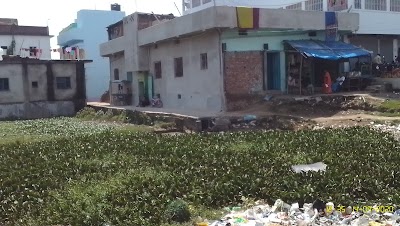 CARPUDM11S9X_Sharma_Brother_s_ChIJSYCvZI4r8jkRxdzHCPXCXU4_1