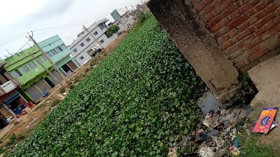 CARPUDM11S9X_Sharma_Brother_s_ChIJSYCvZI4r8jkRxdzHCPXCXU4_4