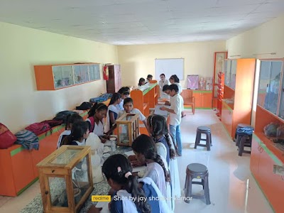 COLLO0Z5JWC5_S_R_S_HIGH_SCHOOL_PARSAWAN_ChIJM2Ud4Qc78jkRuaCyz4bhLao_3