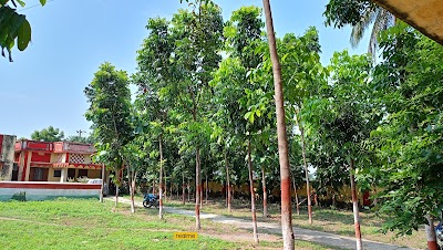 COLLRAA1107B_C.N.B_College_ChIJ1XZgyLBD8jkRaiuNnKnECtQ_9