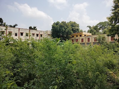 COLLTWSWHBUH_S_S_College_Mehus_ChIJj23MOBJC8jkRq0sPXArLTmA_3