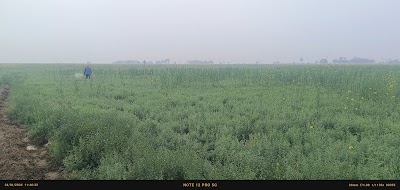 COLLV9UXN5ES_Jaitpur_High_School_ChIJn-ZjQ2oW8jkRmWv2sD8zmWw_3