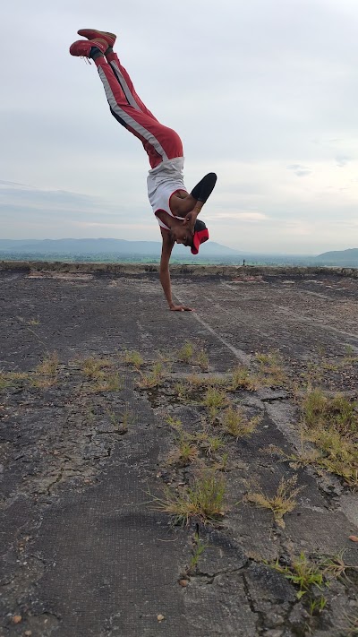 GYMO1ZI1LT4B_Mahua_tar_ChIJT6dJg8Ep8jkRRPdg3SmsiQs_1