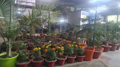 HOSP97HWGBKX_PANACEA_HOSPITAL_ChIJwwVcTkgb8jkR5WSyqc9wRug_3