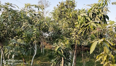 LAUN90LDJ41A_Lakhochak_ChIJCWndut0j8jkR7MBPqyzqNT8_7