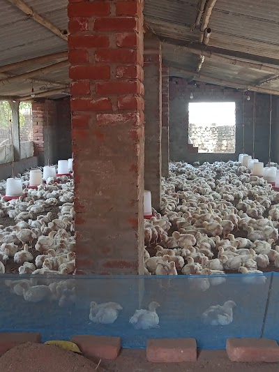 MANF0T0CBUB0_SR_Poultry_Farm_ChIJTfG_2lUl8jkRJ9BJQWwwMYI_2