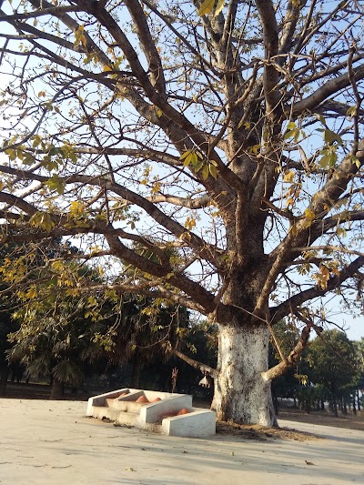 MANFL9CQC3ZD_Power_Station_Rampur_ChIJQaaOj8Il8jkRg3HNOllOb44_3