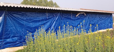 MANFS26L94YZ_Poultry_farm_ChIJ8YtbPDb18TkRtv0elqt6BTs_2