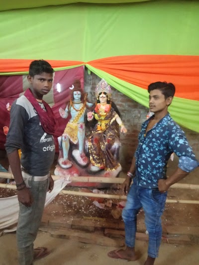 PARLQNNO09HN_Dollfin_ChIJ5_Ruhxkr8jkR-99UPUDRgJA_6