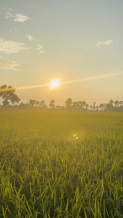 POST3ZV85UQZ_Belchhi_Post_Office_ChIJdU2VgaI38jkRKbf7IyShXrE_7