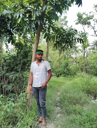 POST6CDTLL41_Shamho_Akha_Kurha_Block_ChIJSWkvFCMf8jkRUletjlRCf9E_3