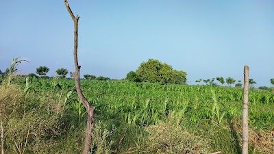 POST8HWIE8FW_Chetan_Tola_Khutaha_Post_Office_ChIJ2y7V6pYX8jkR0llGnaPWN8k_2