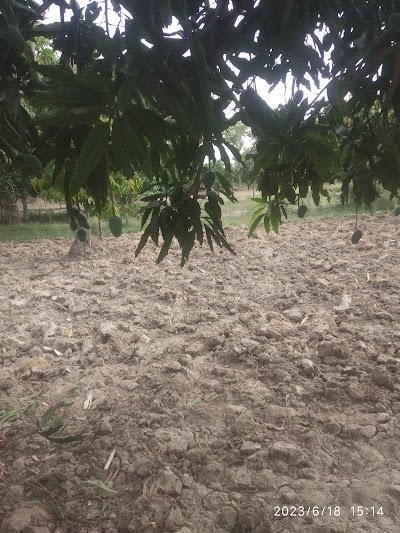 POSTCMRNF7PF_Post_Office_Baha_Chowki_S.O._ChIJgyrQdpfz8TkR7LRLrsDzQgg_7