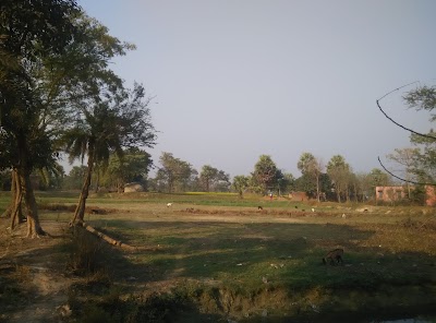 POSTL3WQF1VA_POST_OFFICE_CHANDRADEEP_ChIJg15jRVxL8jkRIB6dpuZcuOc_1