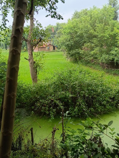 POSTW975N0Y9_Pathak_Chak_Branch_Post_Office_ChIJXcHFTgAt8jkRYxiZmdNGETA_2