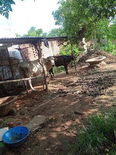 SCHO0RBST0AE_Garsanda_Middle_School_ChIJfZygcQc88jkR2zoG0DXPPgo_7