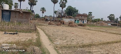 SCHOEAWKCDNZ_Bijulakhi_ChIJRddpFwA78jkRc-CHpgWpF0c_1