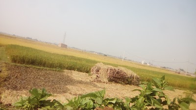 SCHOENW7RNV7_St._Joseph_s_School_ka_rgd_no_ChIJpyldqsg88jkRAZyuyYDq0Mw_7