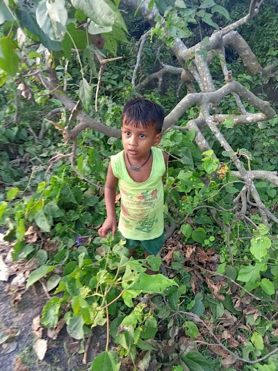 SCHOG7XHCUM8_High_school_Pipariya_ChIJoR5F-2kY8jkRqjykhGbOq_0_1