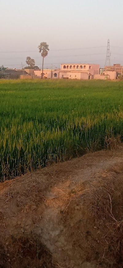 SCHOLEGPK3AX_Govt_Middle_School_Lalpur_ChIJzd2eWLI38jkRgrn7WeRm85A_5