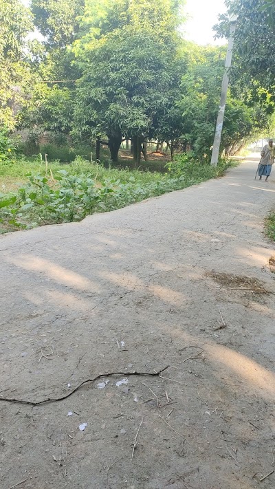 SCHONYLT52PC_Middle_School_Bhawanipur_ChIJi-ls8wcg8jkRogq7-pivPyM_4