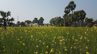 SCHOPE6RYCAS_Global_Public_School_ChIJI78PYRJH8jkRcj5vzMdKOPI_6