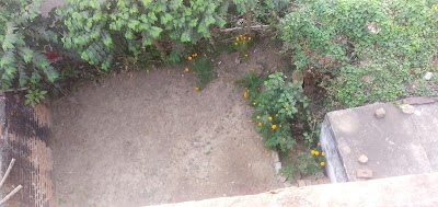 SCHOQAL2DN70_Shivam_sharma_ramchandrapur_ChIJxbv6CXgZ8jkR6hVwWf11C4w_1