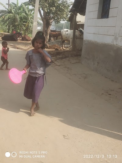 SCHOQH3OL67M_Primary_school_ojan_mahto_tola_ChIJSXfSbbMf8jkRyxkxBXGNlW8_6