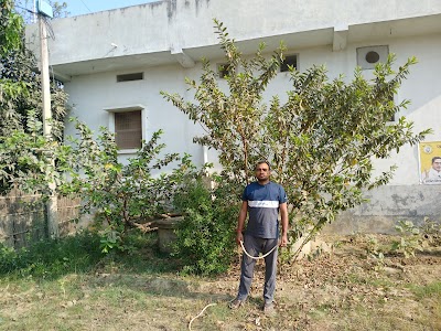 SCHORKWN3DAE_Middle_School_ChIJv3hG2yoZ8jkRjFgfM71gNYc_1