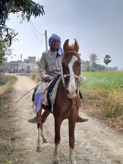 SCHOT0ENJ50O_Primary_School_Sayar_Bigha_ChIJoce0FVc_8jkRz6UN5H9mQ1c_2