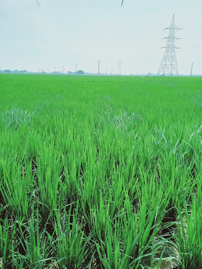 SCHOWQFNQT2T_Rata_Middle_School_ChIJ1THf5QIw8jkRGVpFBmqrMpM_5