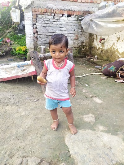 STAT81LXJ2PJ_Samyagarh_Market_ChIJ8bEtdudu8jkRYVK3JF8FdDI_6