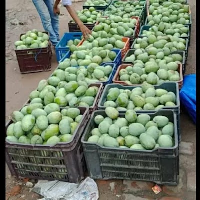 STATRARSRBNI_Maa_Saraswati_Pustak_Bhandar_ChIJz5tvVYgX8jkRVHVhwkj9028_6