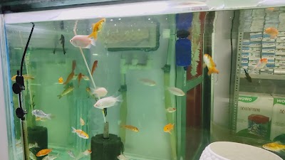 SUPER29SEE69_Dolphin_Aquarium_ChIJfdeaFqI98jkRqWwzXgf336E_1