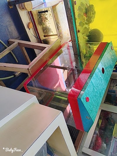 SUPER29SEE69_Dolphin_Aquarium_ChIJfdeaFqI98jkRqWwzXgf336E_3