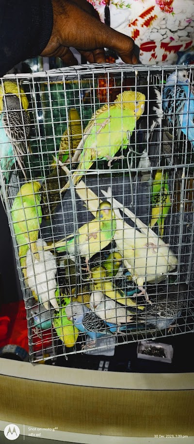 SUPER29SEE69_Dolphin_Aquarium_ChIJfdeaFqI98jkRqWwzXgf336E_5