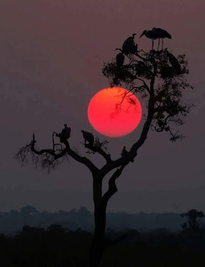 TAXC1L2EG1Q8_Aas_ChIJ9RH04i4b8jkRy1MS5naAzU4_1