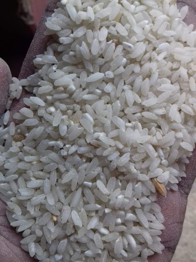 TAXCNYE3ABAL_BIHAR_AGRO_INDUSTRIES_ASHOK_KUMAR_SAW_ChIJl8iZbl8j8jkRq6zMU9cv7pg_4