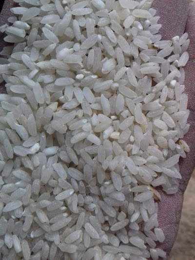 TAXCNYE3ABAL_BIHAR_AGRO_INDUSTRIES_ASHOK_KUMAR_SAW_ChIJl8iZbl8j8jkRq6zMU9cv7pg_6