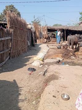 SCHOEIVXUOF7_PRIMARY_SCHOOL_ChIJdTyUwuYZ8jkRE31LtC1wNl8_1