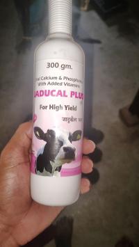 SCHOI8FH8IES_Basuachak_School_ChIJ59d_Lo8n8jkRXzICJL-g_aA_2