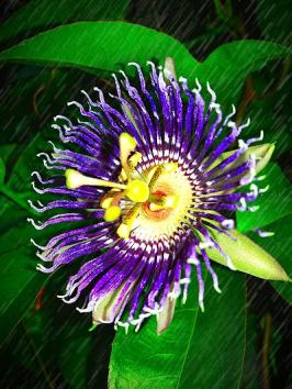 SCHOQ9L0N1K9_New_delhi_public_school_ChIJvadUBJAf8jkRsRNJDBX7xzM_3