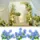 Decoration